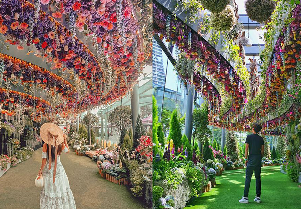 Tour Singapore 3N2Đ - Đảo Sentosa - Vườn Siêu Cây - Marina Bay Sand - Botanic Garden - Công Viên Sư Tử Biển - Jewel Changi - Hình ảnh 3